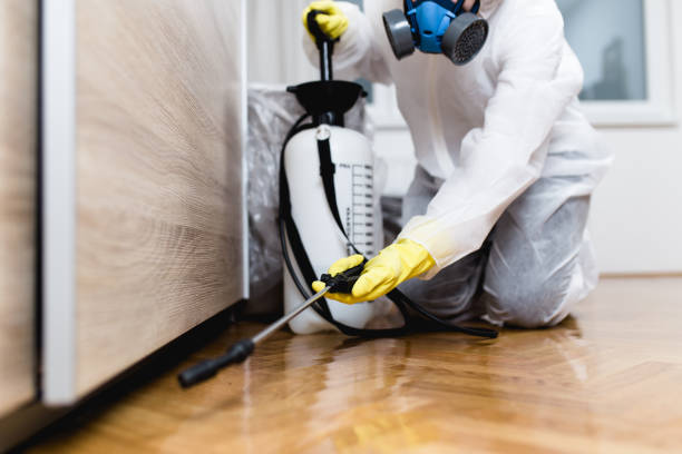 Best Wasp Removal Services  in Three Oaks, MI