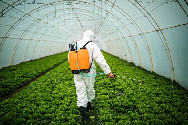Best Best Pest Control Companies  in Three Oaks, MI