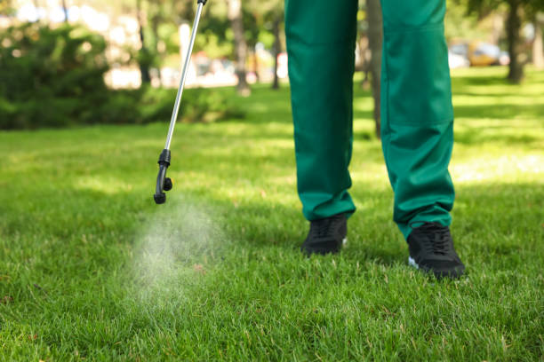 Best Local Pest Control Services  in Three Oaks, MI
