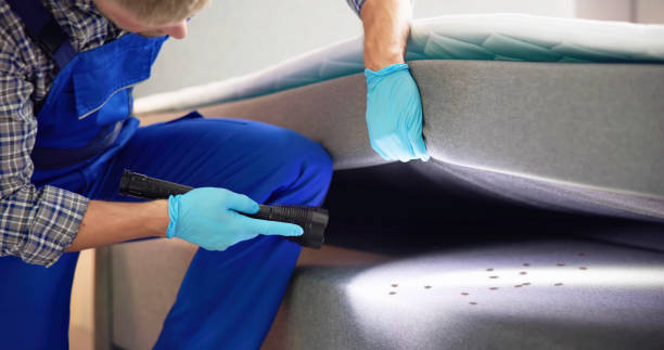 Best Local Pest Control Services  in Three Oaks, MI