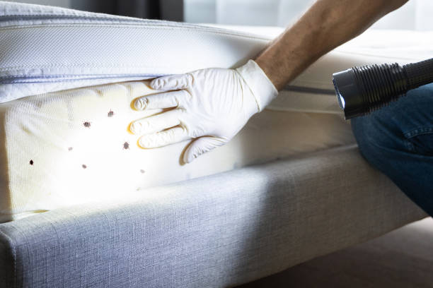 Best Best Pest Control Companies  in Three Oaks, MI