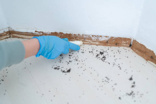 Best Affordable Pest Control Services  in Three Oaks, MI