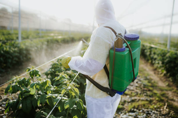 Best Pest Control Near Me  in Three Oaks, MI